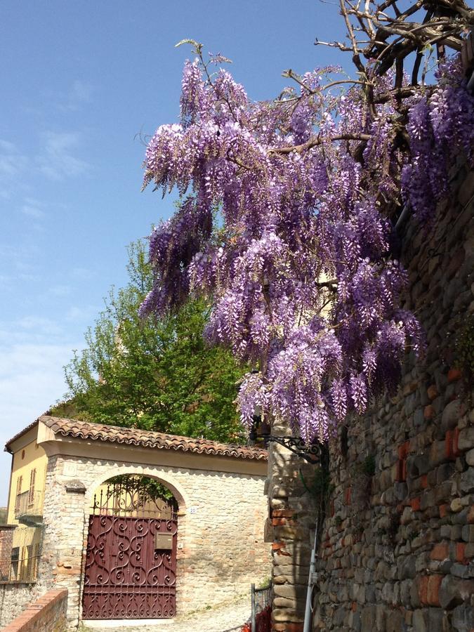 Bed and Breakfast View&Wine Canelli Exterior foto