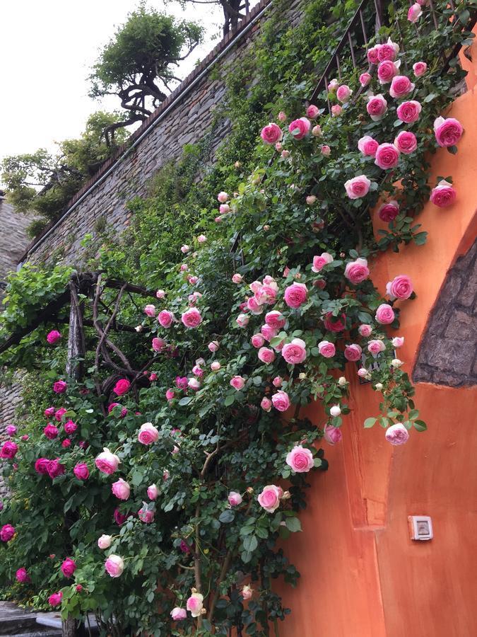 Bed and Breakfast View&Wine Canelli Exterior foto